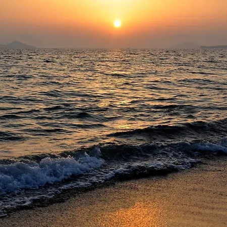 Palm Beach Отель